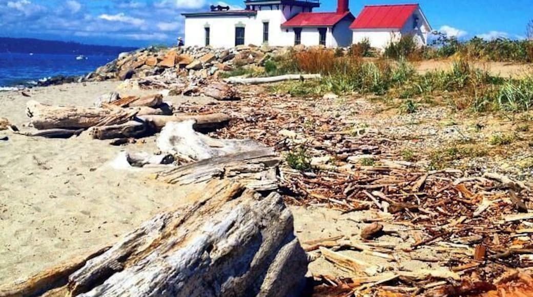 This is the 'famous' lighthouse at Discovery Park. This park is about 15-20 mins from Seattle (city) and is a great place for a short hike if you just want to get away from the city for an hour or two! There are a couple of hiking routes to pick from and they are all very basic/non-strenuous. Make sure to park right near the entrance though because you can't park near to the lighthouse itself, which is at the furthest edge from the entrance, unless you have a permit.