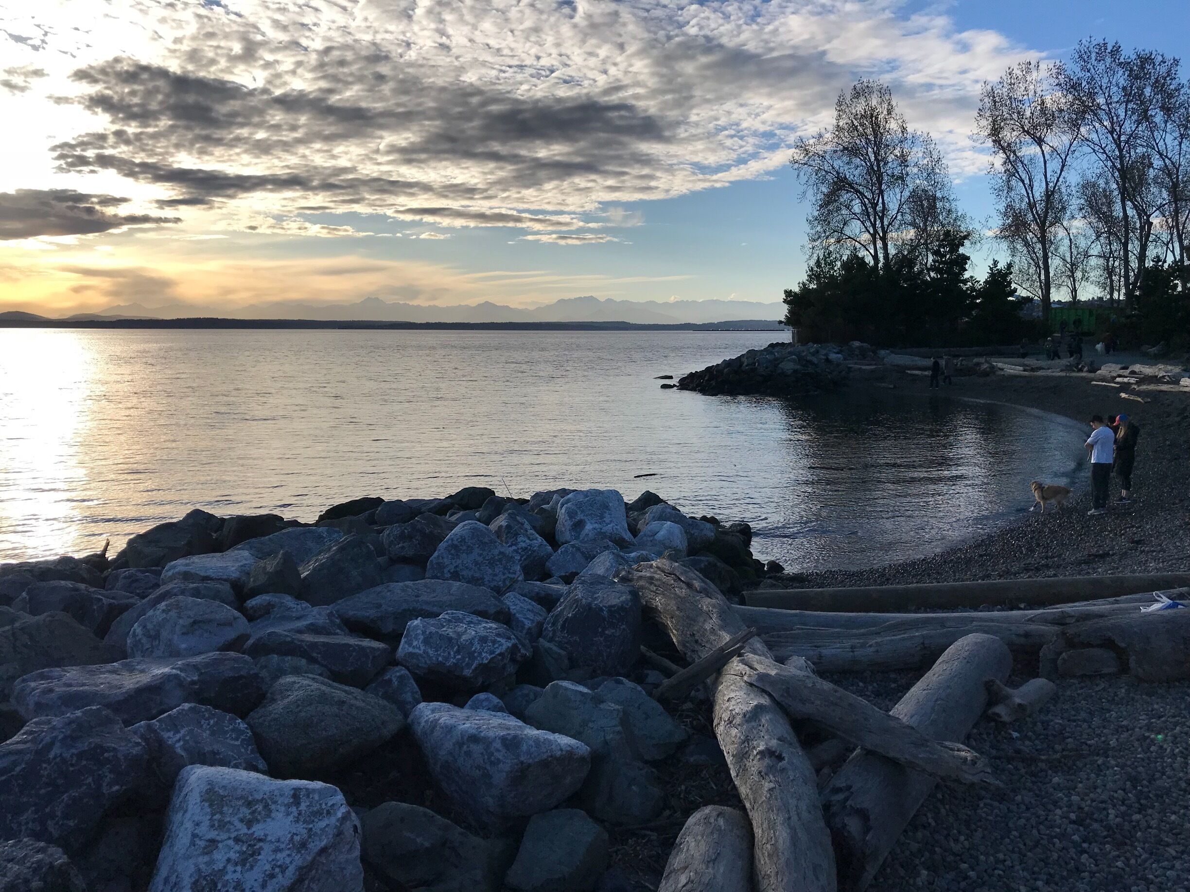There are these two little secret beaches right next to downtown Seattle. Mostly unseen because everyone is focusing instead on their bike or run. Just look towards the water, it’s right there! 1/2 #photowalkseattle