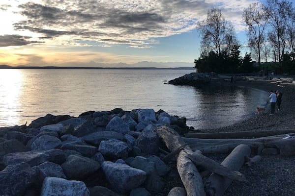 There are these two little secret beaches right next to downtown Seattle. Mostly unseen because everyone is focusing instead on their bike or run. Just look towards the water, it’s right there! 1/2 #photowalkseattle