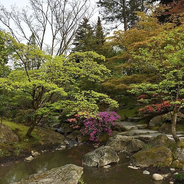 #Japanese #garden #park #seattle #washington soooooo worth the $6 bucks 👍