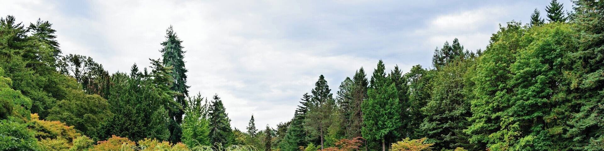 We like to visit this beautiful garden frequently.