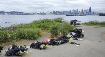 An unlikely, yet perfect, location to go scuba diving, Seacrest Park's Cove 2 is ridden with crabs, nudibranchs, and even the occasional octopus! Say hi to the friendly harbor seals if they happen to float your way.
#lifeatexpediagroup #seacrestpark #cove #scubadiving #Seattle #diving