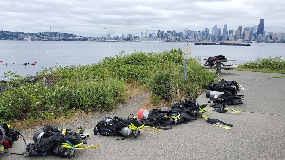 An unlikely, yet perfect, location to go scuba diving, Seacrest Park's Cove 2 is ridden with crabs, nudibranchs, and even the occasional octopus! Say hi to the friendly harbor seals if they happen to float your way.
#lifeatexpediagroup #seacrestpark #cove #scubadiving #Seattle #diving