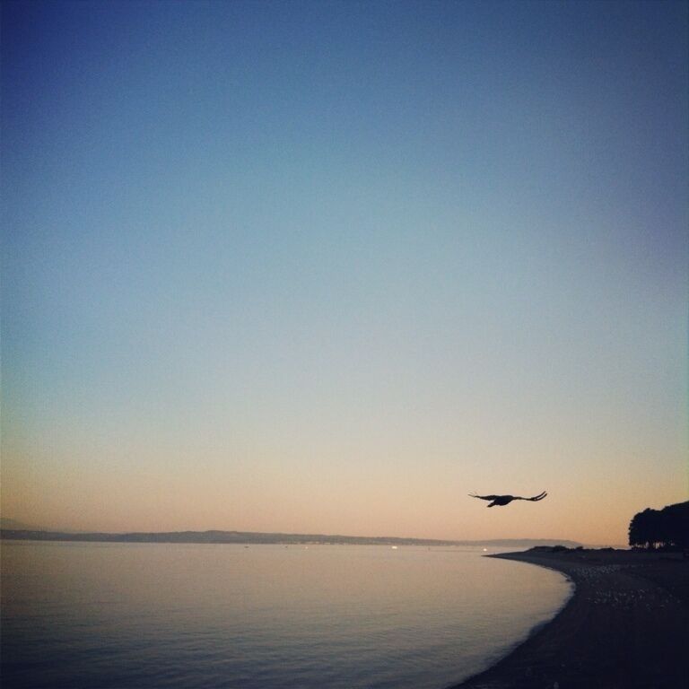 Sunrise at Golden Gardens. This place always has been special to me, even more now because it was where Jackie @jackiesouthwell and I got married in June. August 17, 2012 #seattle #washington #summer #morning #sunrise #beach #sentimental #mywife #jackie www.bradleyhanson.com