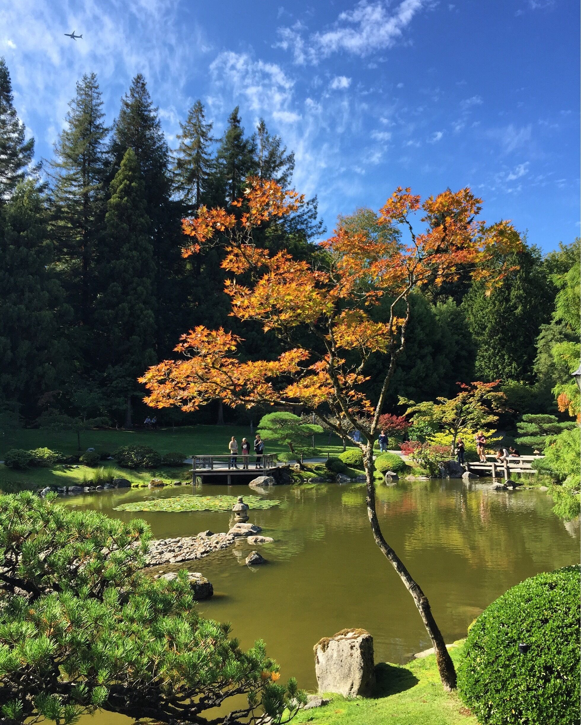 Beautiful garden. Wish I could come back in October to see more of the autumn vibe.
