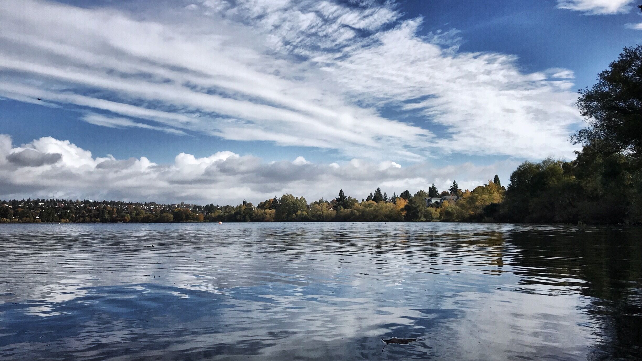 One of the most beloved neighborhood parks in Seattle, with a lovely paved 3 mile trail around the lake...