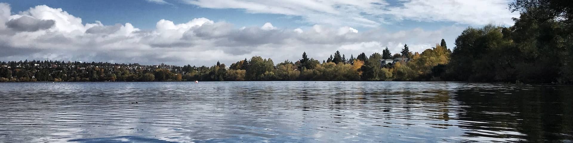 A calm lake with a clear sky, a forested shoreline, and a distant town.