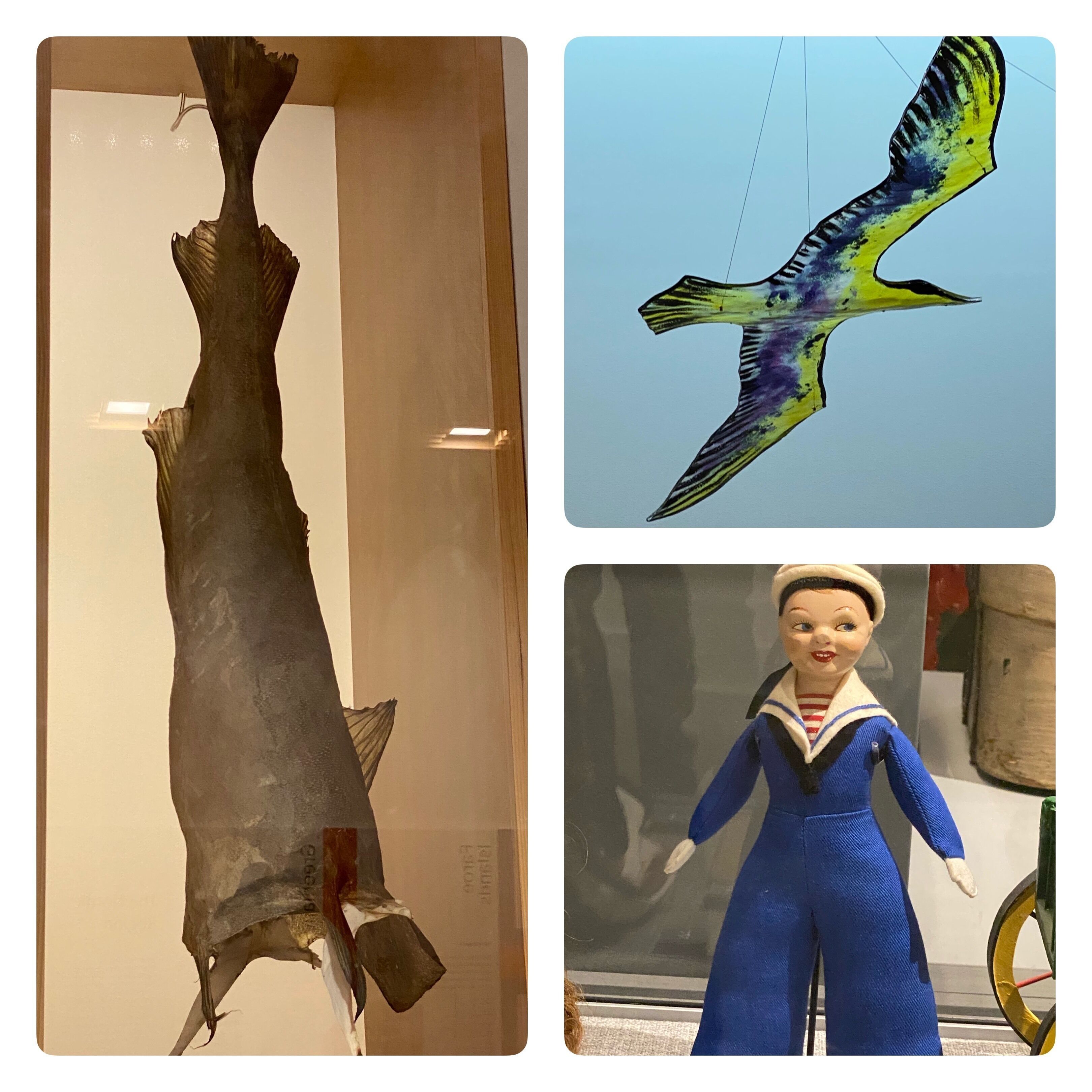 Went to this museum for the first time one New Year’s Eve. Fascinating and beautiful! If you ever come to Seattle it’s worth a visit. If you live in the area check it out!