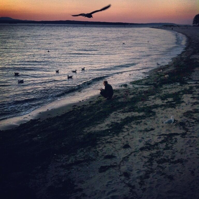 Sunset at Golden Gardens Beach in Seattle. A perfect place to get married!
www.bradleyhanson.com
