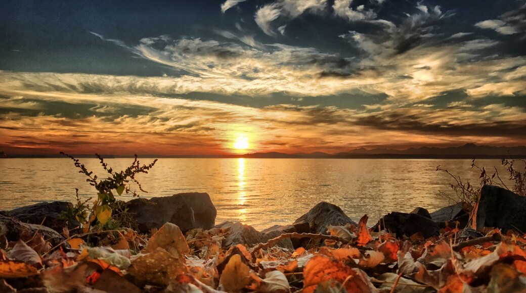 Fall sunsets are particularly beautiful in Seattle (if and when the sun is out :)