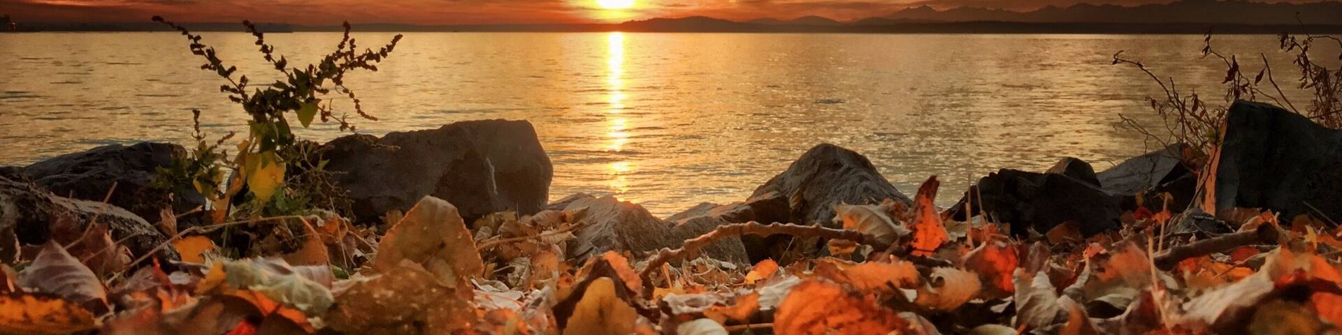 Fall sunsets are particularly beautiful in Seattle (if and when the sun is out :)