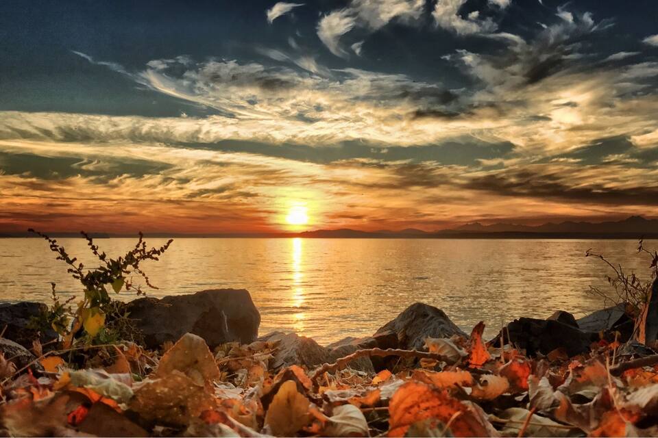A sunset over a calm body of water with rocks and autumn leaves in the foreground.