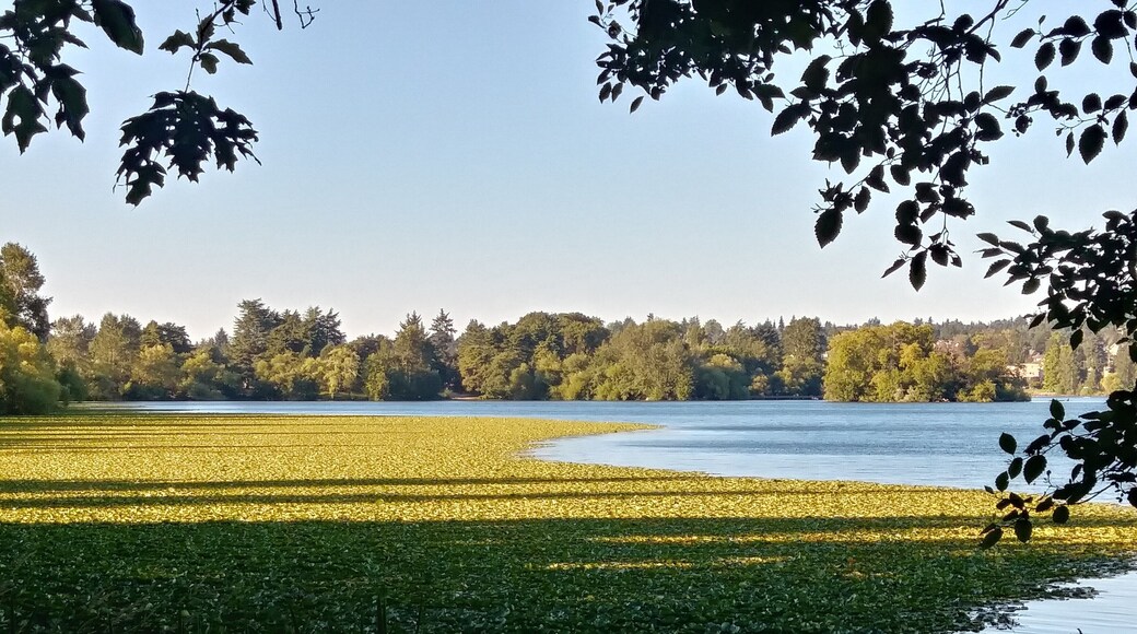 Buying juicy plums during the summer, cheering on a guy balancing on a rope, and walking past gorgeous lily pads is just a handful of things you can experience at Green Lake Park in Seattle. I highly recommend canoeing there. #greenlakeparkseattle #lifeatexpedia