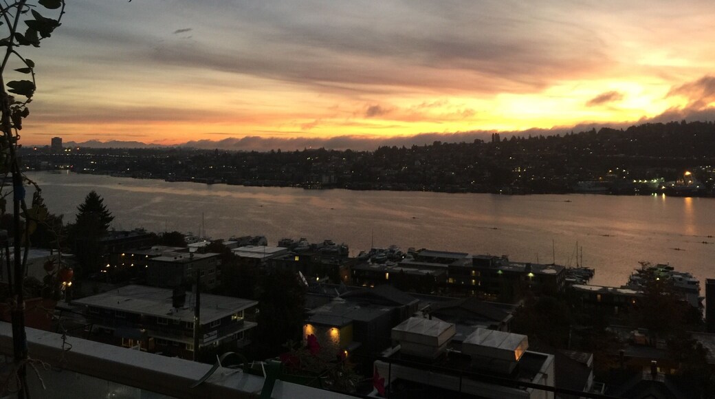Evening by Lake Union