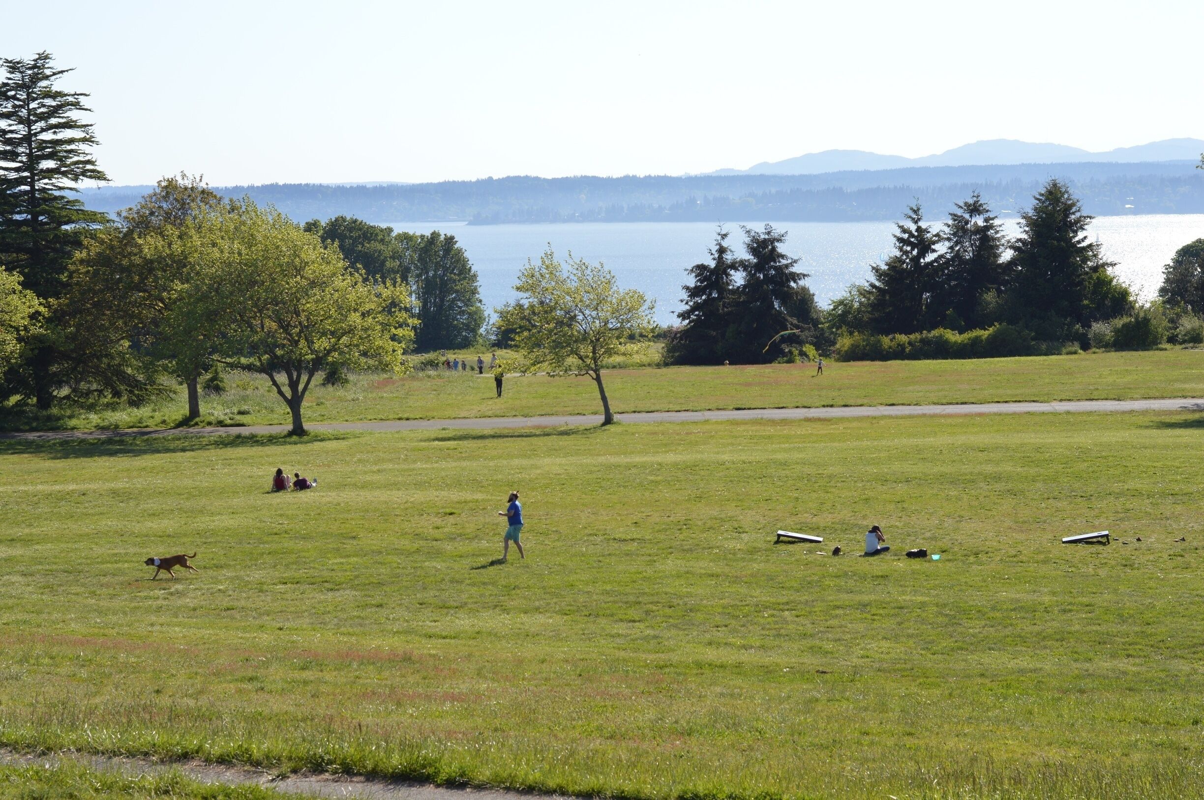 In the center of Discovery Park lies a great big green stretch - perfect for kite flying and dog running.