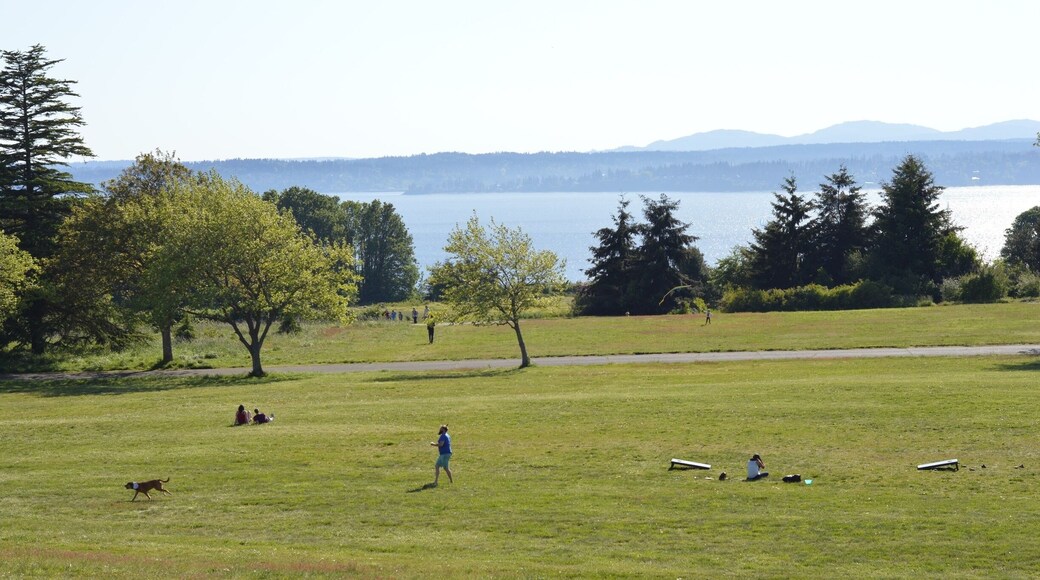In the center of Discovery Park lies a great big green stretch - perfect for kite flying and dog running.