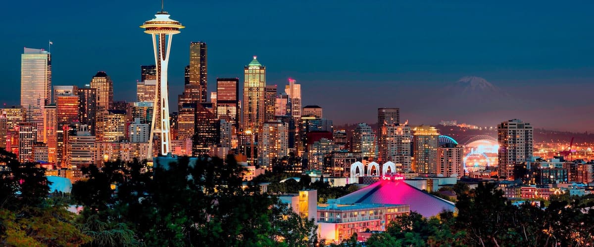 We visited this park overlooking Seattle during a beautiful full moon.