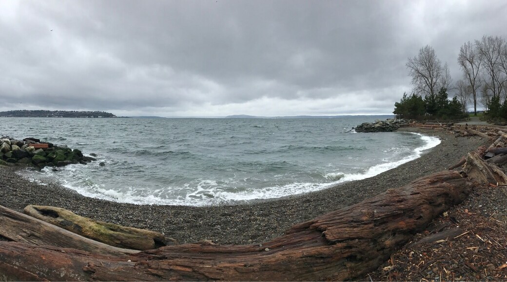 Stumbled upon here 🌊 during my morning run 🏃