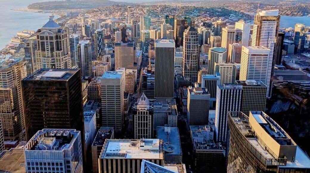 Sunset views of Seattle from the 35th floor
#cityskyline #seattle #skyscraper #chasingsunsets #trovember #trovemberphotocontest #explorelocal #pnw