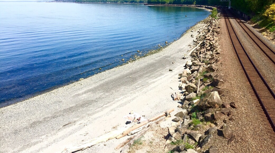 Cool beach park with some fun trails, easily accessible from the city:)