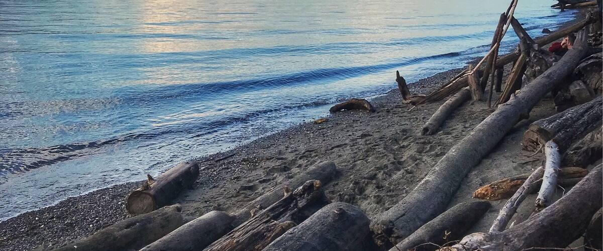 Lincoln Park, West Seattle • 2018 #LifeAtExpedia #beaches