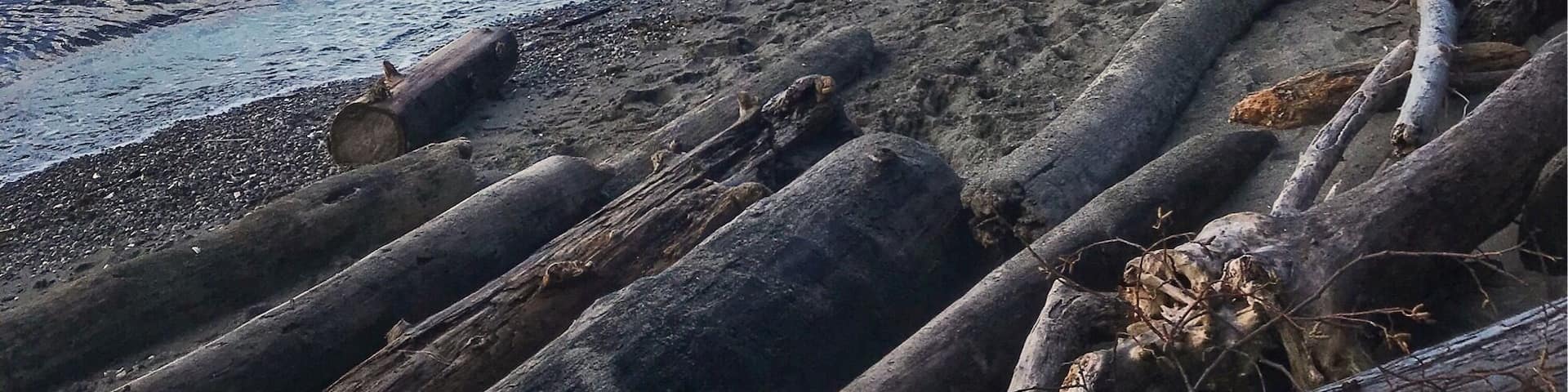 Lincoln Park, West Seattle • 2018 #LifeAtExpedia #beaches