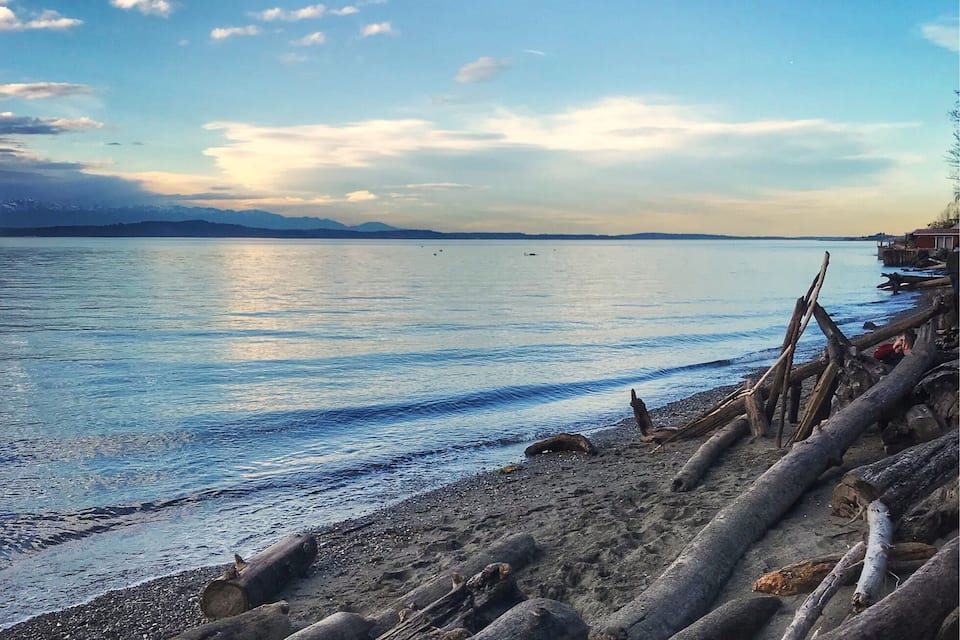 A calm lake with a rocky shoreline and driftwood.