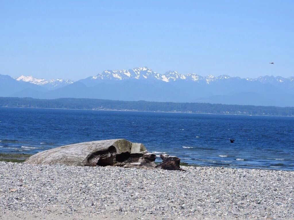 June 2017. My blog on the Seattle area.  https://jozeel.weebly.com/seattle-usa.html