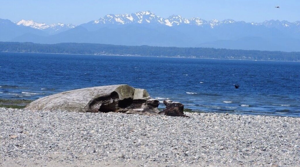 June 2017. My blog on the Seattle area. https://jozeel.weebly.com/seattle-usa.html