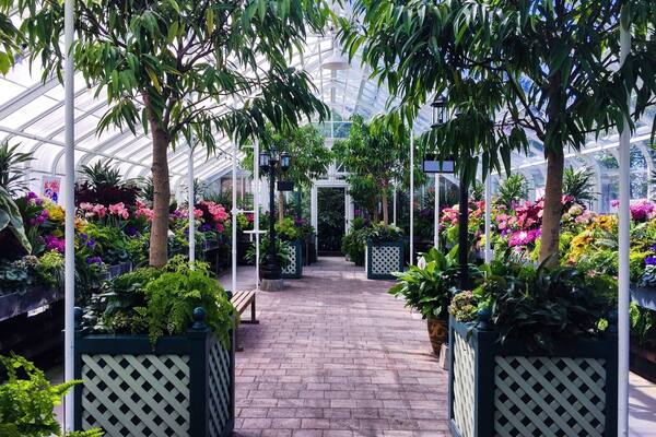 A greenhouse with a brick pathway, various plants, and flowers.