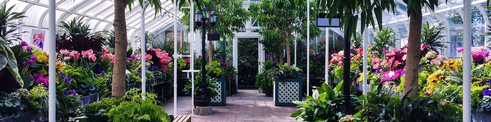 Uma estufa com um caminho de tijolos, plantas e flores diversas.