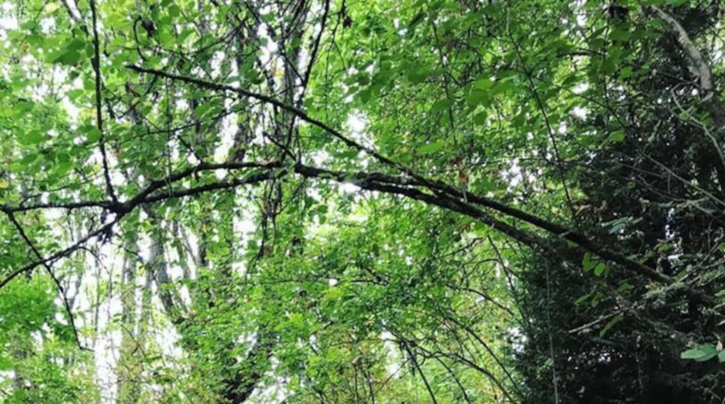 #seattle #washington #park