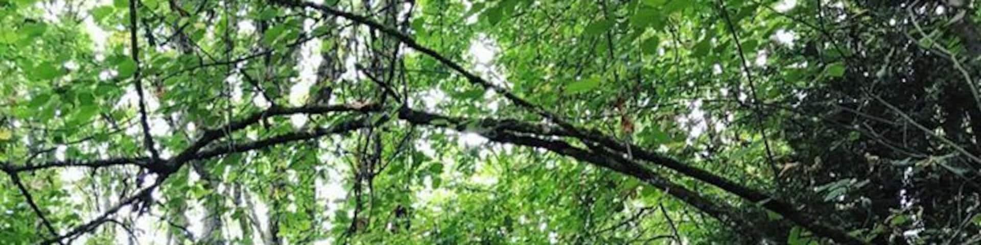 #seattle #washington #park