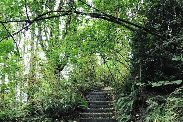 #seattle #washington #park