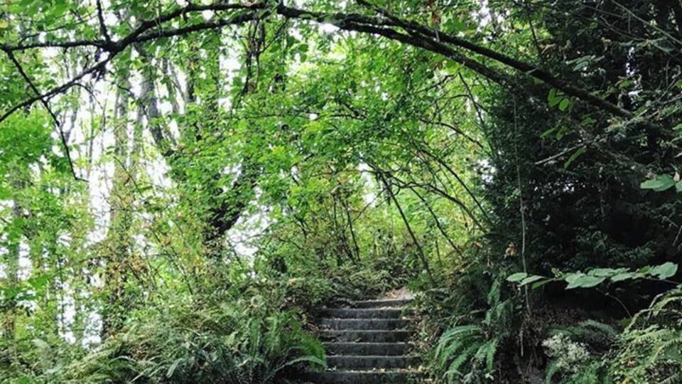 #seattle #washington #park