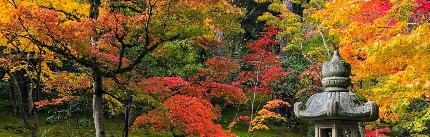 Bridge at the garden.