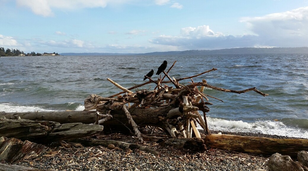 Beautiful place for an afternoon walk. #Seattle #LifeAtExpedia