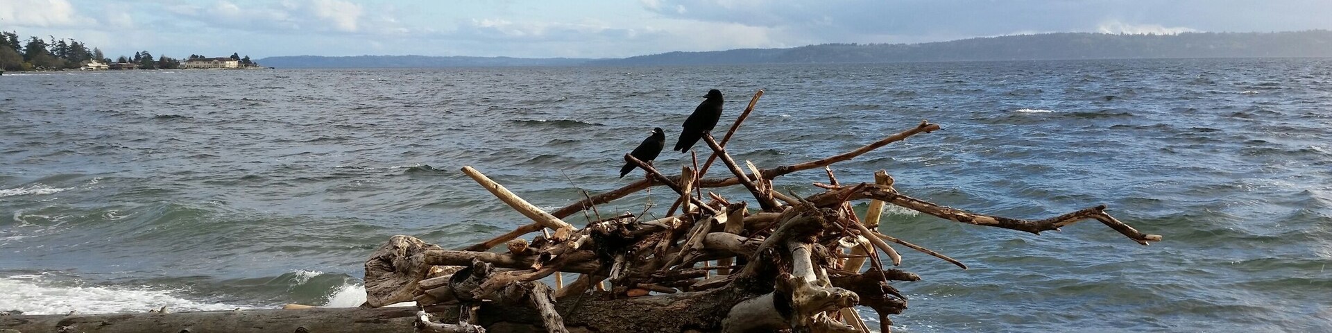 Beautiful place for an afternoon walk. #Seattle #LifeAtExpedia