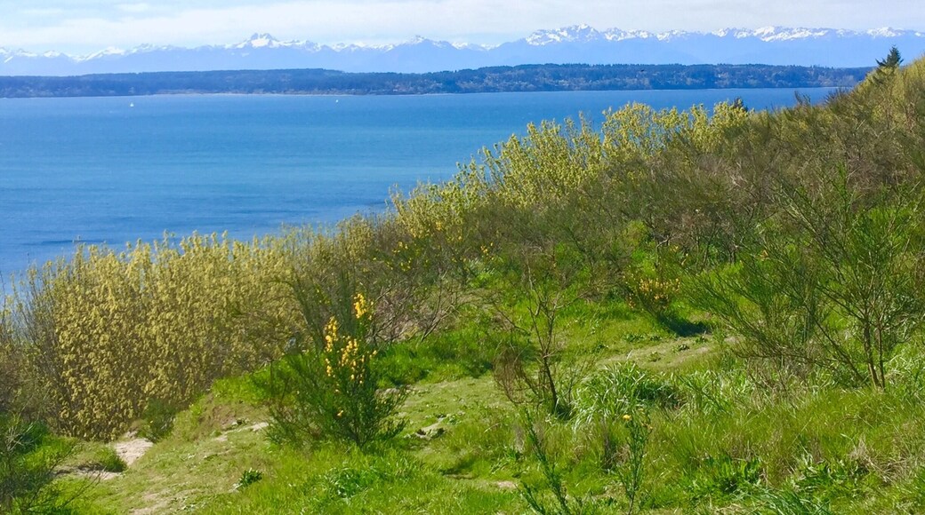 Discovery park is an oasis in the city, travelers and locals both frequent this park. Definitely a must see while visiting Seattle... A short trail walk is rewarded with breathtaking views in this park.
Don't miss out on the South beach trail!