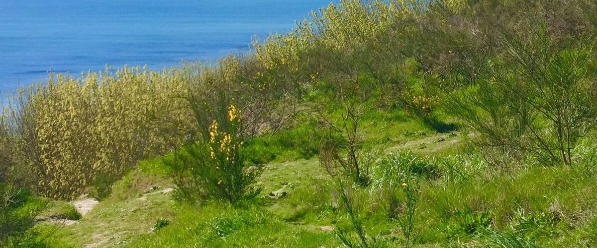 Discovery park is an oasis in the city, travelers and locals both frequent this park. Definitely a must see while visiting Seattle... A short trail walk is rewarded with breathtaking views in this park.
Don't miss out on the South beach trail!