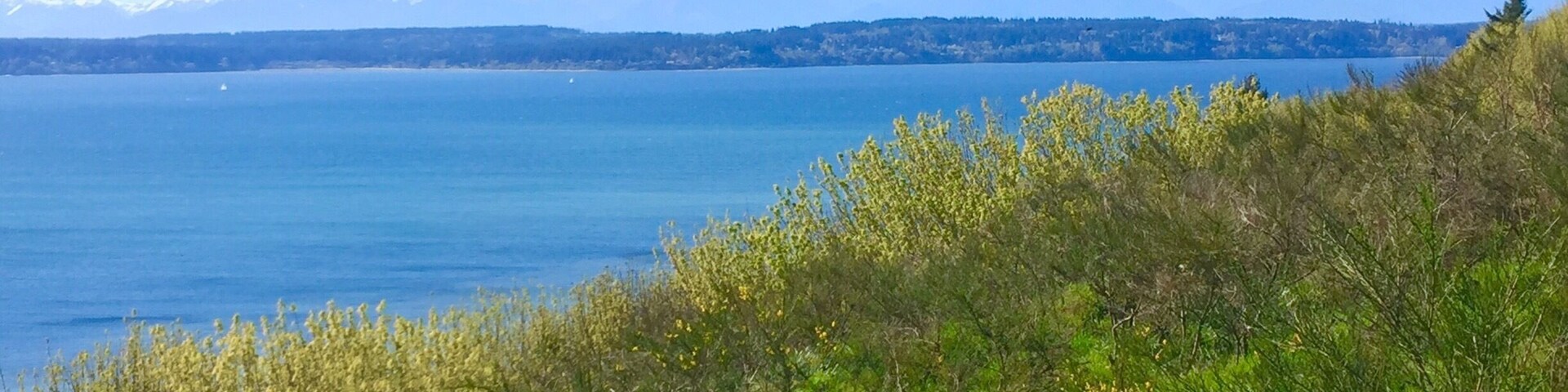 Discovery park is an oasis in the city, travelers and locals both frequent this park. Definitely a must see while visiting Seattle... A short trail walk is rewarded with breathtaking views in this park.
Don't miss out on the South beach trail!