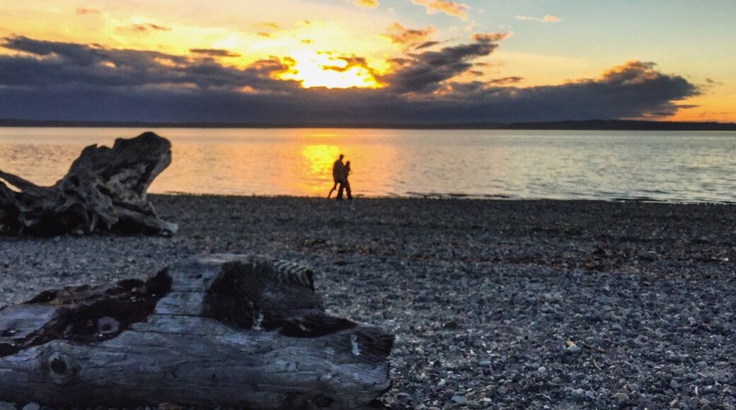 Silhouette of young couple enjoying the sunset on the beach. #carkeekpark #carkeekbeach #sunset #silhouette #sunsetsilhouette #sundown #sunset_pics #landscape #landscapephotography #travel #travelphotography
#capturethemoment #sunsetphotography #beach #sunsetcolors #pnw #seattle #seattlelife #pacificnorthwest #picoftheday #sunsetwalks #wanderlust #sheexplores #paintedsky #clouds #photooftheday #instanature #evening #earthpix