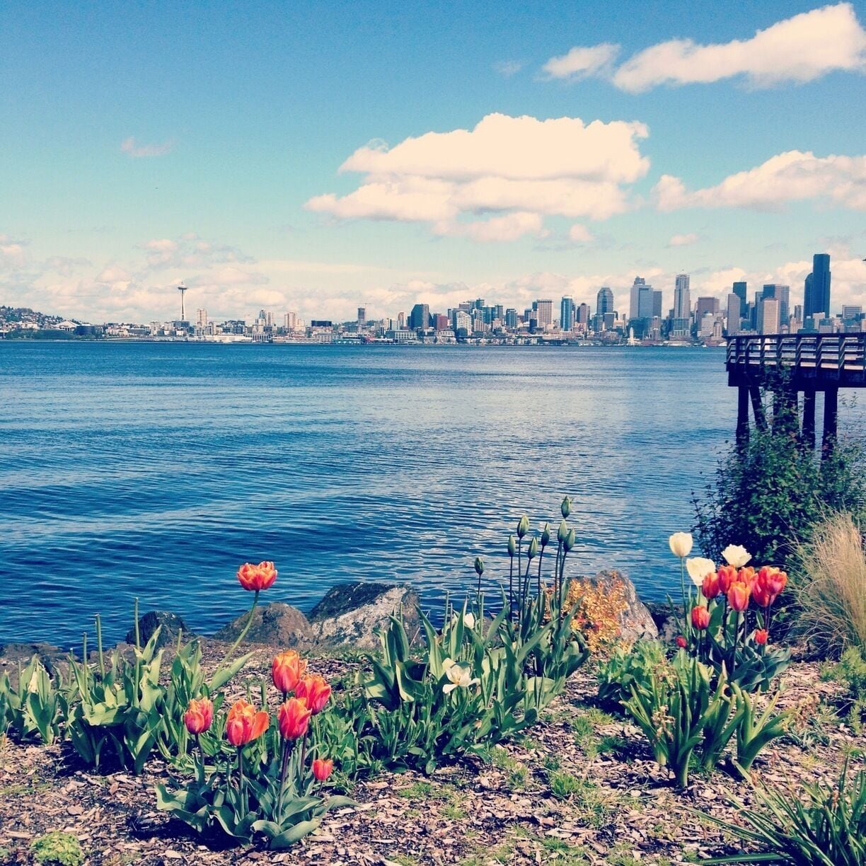 Seacrest is a mecca of charming usefulness. It's a park, it's a kayak rental place, it's an eatery (Marination: do it.) It is also where you can catch the Water Taxi to Seattle's Pier 50, one block down the hill from Pioneer Square. It's a breezy, 10-minute crossing. You board, you sit. Bam! You're there. Taxi runs Apr - Oct, $4 one way. • http://m.yelp.com/biz/seacrest-park-seattle • #WestSeattle #marinas #parks #piers #ferries #localgem