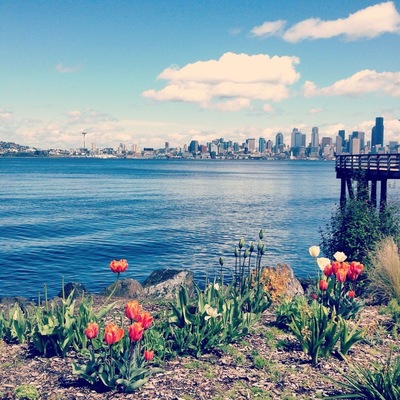 Seacrest is a mecca of charming usefulness. It's a park, it's a kayak rental place, it's an eatery (Marination: do it.) It is also where you can catch the Water Taxi to Seattle's Pier 50, one block down the hill from Pioneer Square. It's a breezy, 10-minute crossing. You board, you sit. Bam! You're there. Taxi runs Apr - Oct, $4 one way. • http://m.yelp.com/biz/seacrest-park-seattle • #WestSeattle #marinas #parks #piers #ferries #localgem