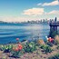A waterfront with tulips and a city skyline in the background.