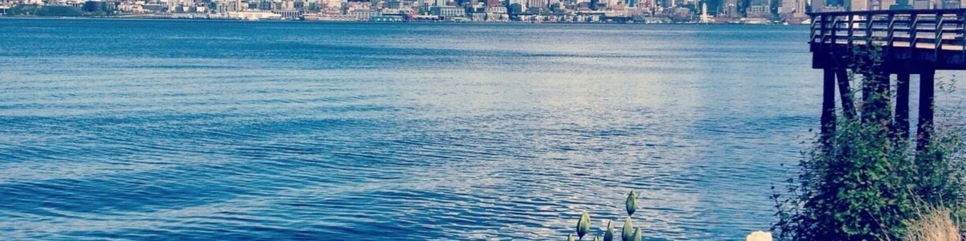 Seacrest is a mecca of charming usefulness. It's a park, it's a kayak rental place, it's an eatery (Marination: do it.) It is also where you can catch the Water Taxi to Seattle's Pier 50, one block down the hill from Pioneer Square. It's a breezy, 10-minute crossing. You board, you sit. Bam! You're there. Taxi runs Apr - Oct, $4 one way. • http://m.yelp.com/biz/seacrest-park-seattle • #WestSeattle #marinas #parks #piers #ferries #localgem