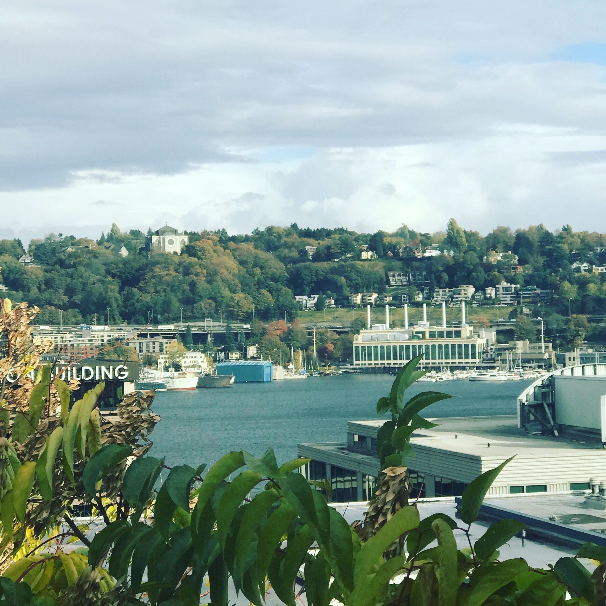 View from Sister's house 