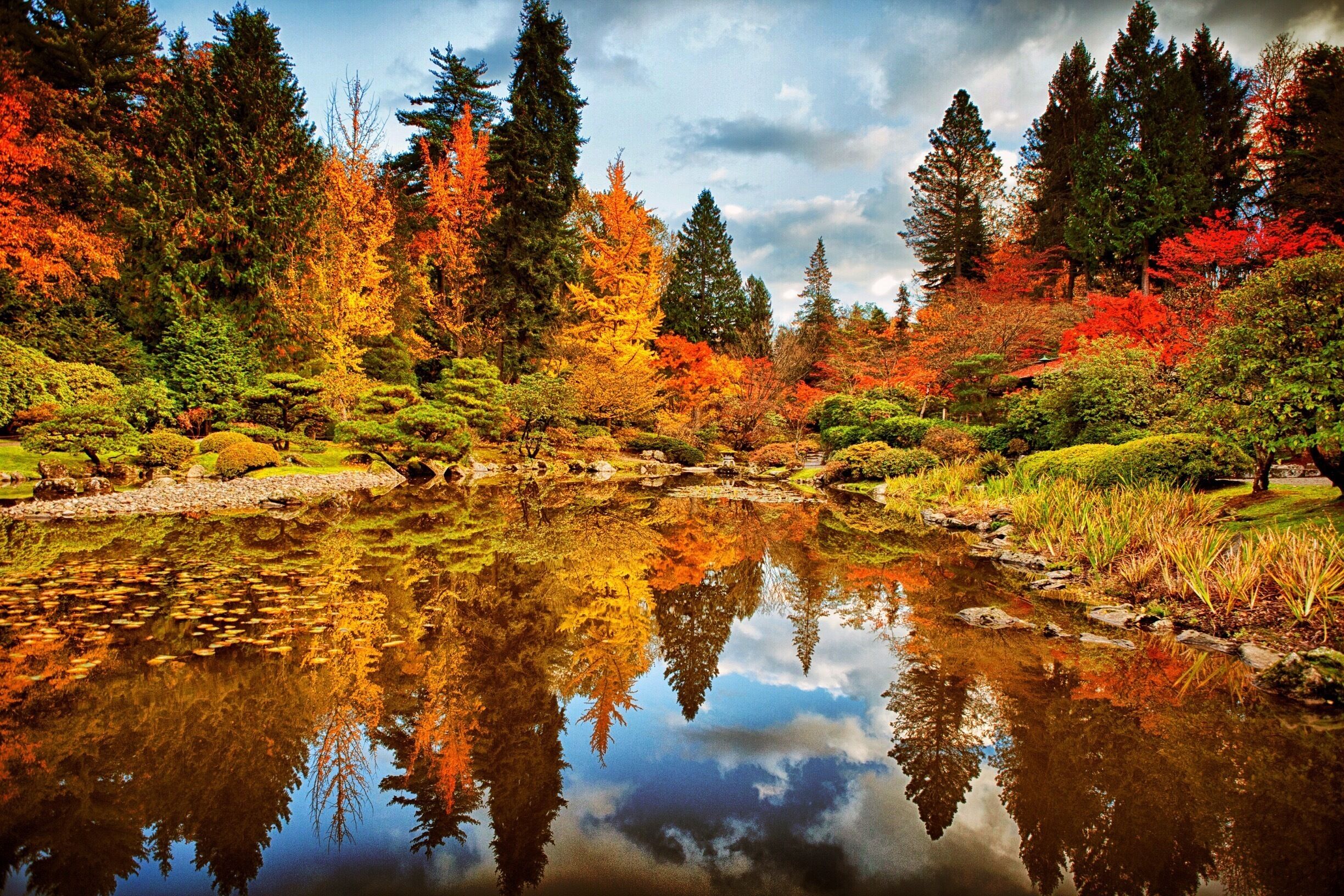 If you were to pick one place to go see autumn colors in Seattle, this is it.

The Seattle Japanese Garden is located in the Washington Park Arboretum, and is one of the oldest Japanese gardens in North America, also regarded as one of the most authentic Japanese gardens in the United States.