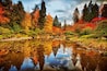 A serene pond surrounded by autumn-colored trees and lush greenery.