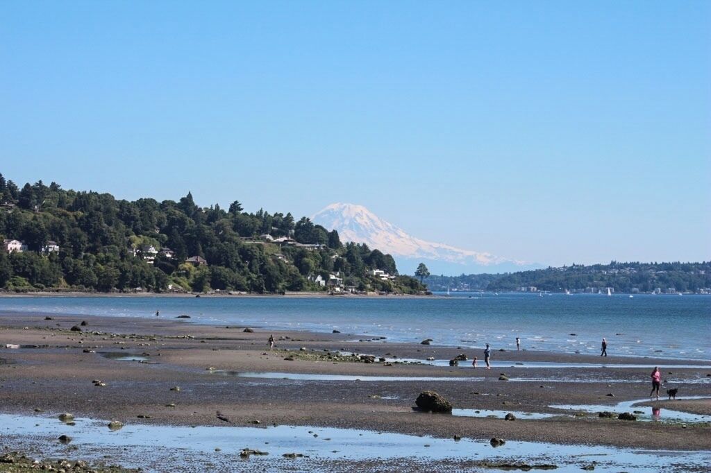 Discovery Park in Seattle with Mt. Rainier in view. #LifeAtExpedia